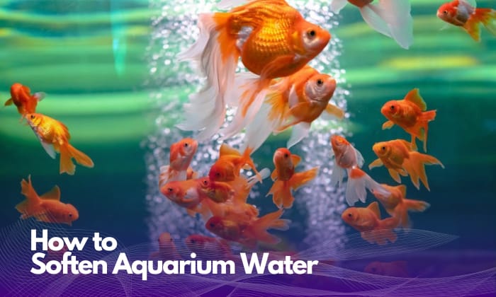 how-to-soften-aquarium-water