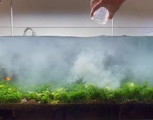 increase-ph-in-aquarium