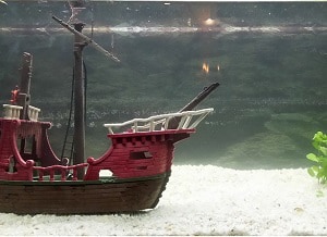 make-a-fish-tank-with-household-items