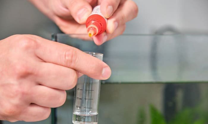 ph-to-rise-in-aquarium