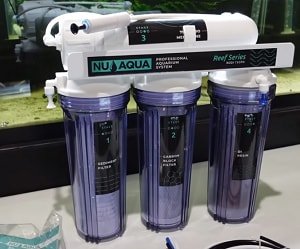 raise-the-ph-level-in-a-fish-tank