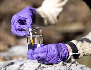 raising-ph-in-aquarium