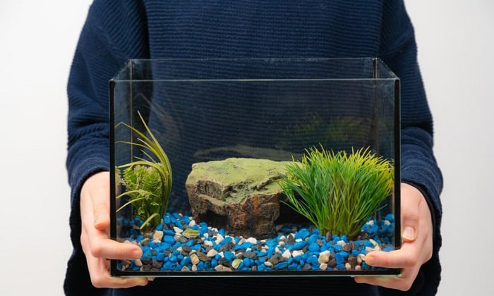 remove-water-from-fish-tank