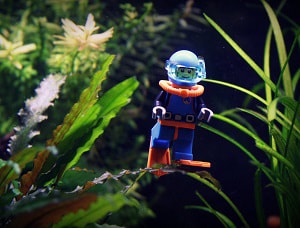 things-to-put-in-fish-tank