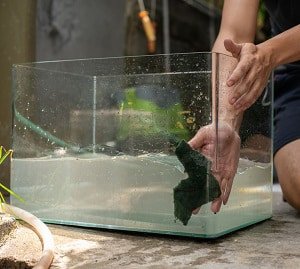 clean-aquarium-water