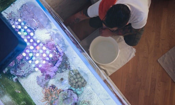 clean-small-fish-tank