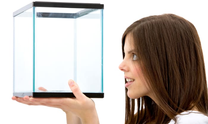 how-long-before-fish-tank-leaks