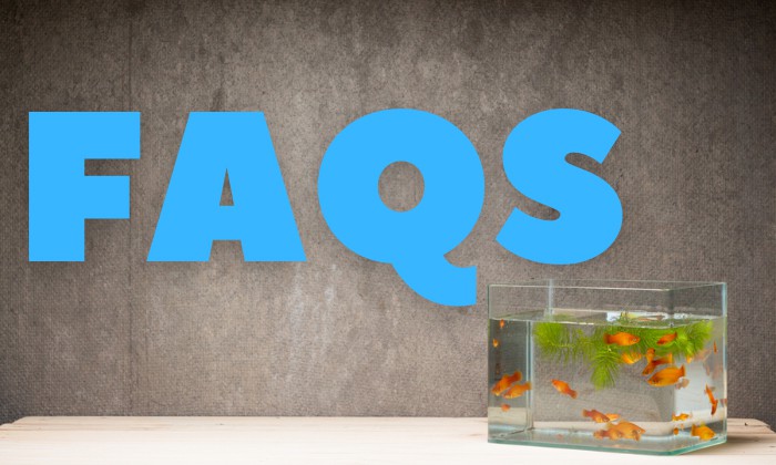 resealing-a-fish-tank