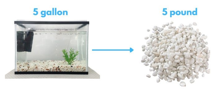 size-10-fish-tank-gallons