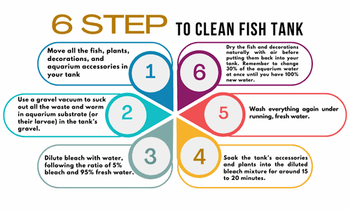6-steps-to-clean-fish-tank