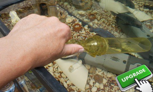 Upgrade-Your-Tank’s-Filter