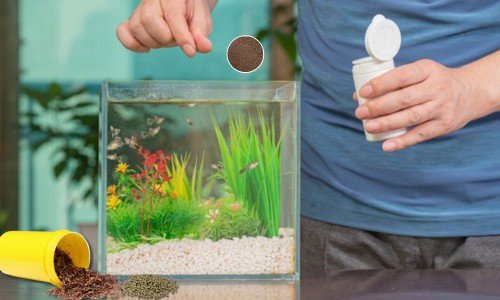 Worms-love-eating-organic-waste