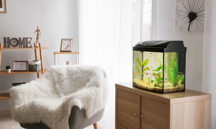 add-oxygen-to-a-fish-tank