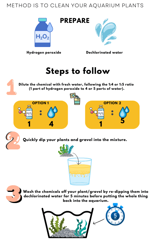 method-is-to-clean-your-aquarium-plants