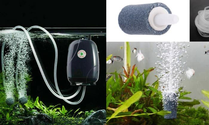 oxygen-for-fish-tanks