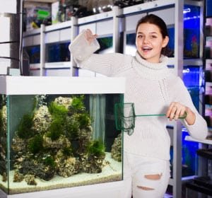 put-more-oxygen-in-fish-tank