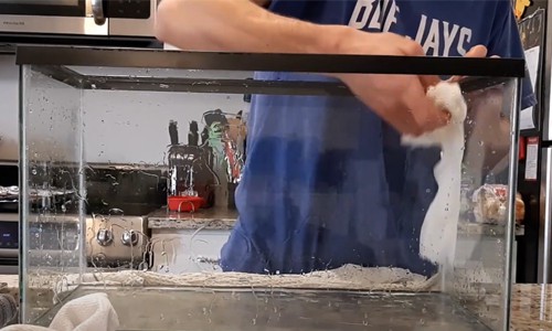 sterilize-fish-tank-and-equipment