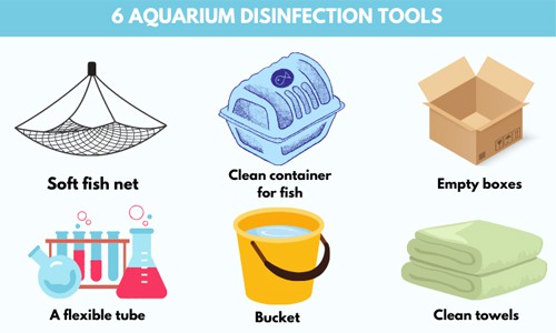 vinegar-to-clean-fish-tank