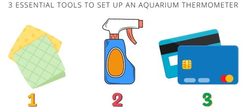 3-essential-tools-to-set-up-an-aquarium-thermometer