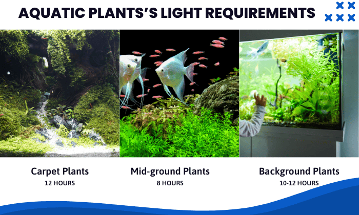 Fish-Tank-Lightsfor-Live-Aquatic-Plants