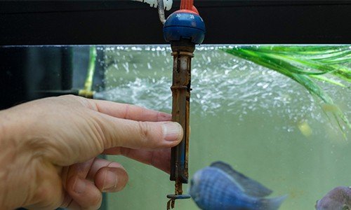 fish-tank-heaters-raise-electric-bill
