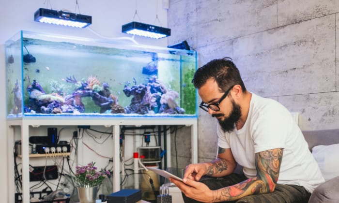 invertebrates-and-fish-live-together