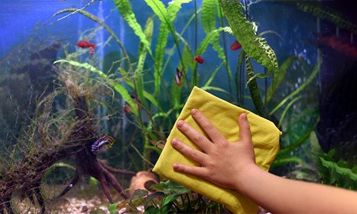 read-a-strip-thermometer