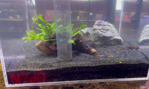 Vacuum-the-substrate