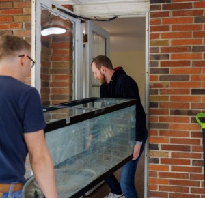 use-bigger-fish-tank-to-Reduce-Ammonia